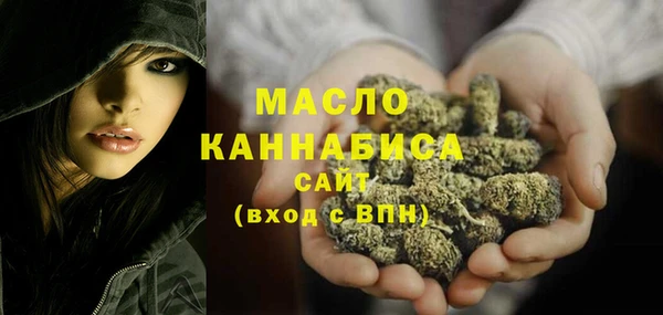 гидра Медногорск