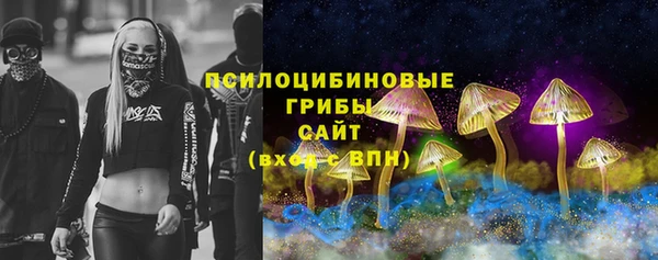 2c-b Мегион