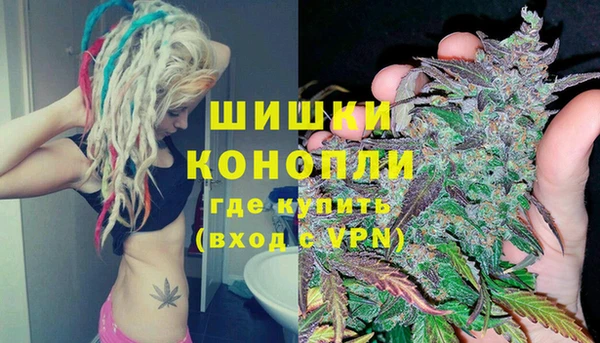 гидра Медногорск
