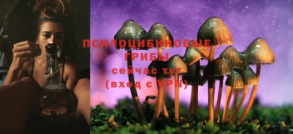 гидра Медногорск